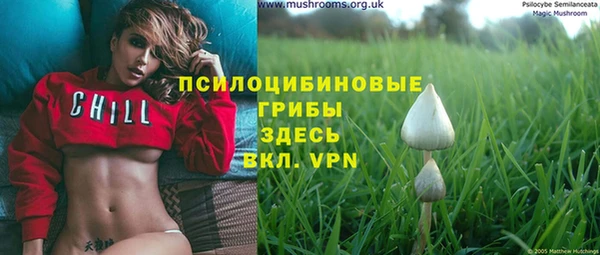 apvp Сосновка