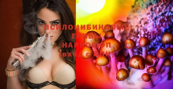 бошки Вяземский