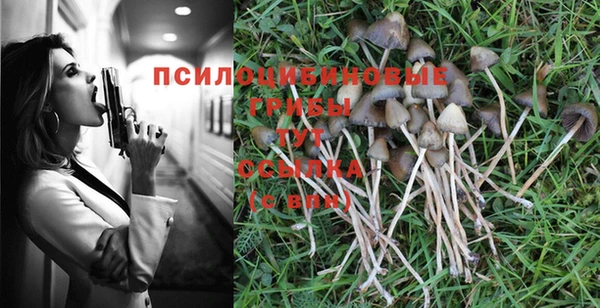 ECSTASY Волоколамск